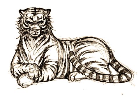 Tiger By Pandabaka On Deviantart