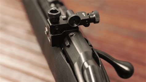 How To Peep Sight With A Rifle Instructions Tips And Tricks For