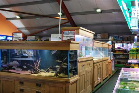 Wenvoe Maidenhead Aquatics Fish Store Review Tropical Fish Site