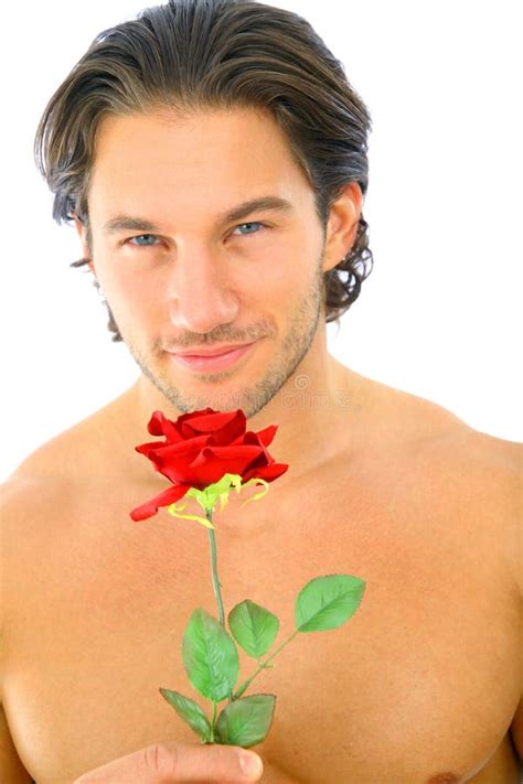 Attractive Young Man Holding Red Rose Stock Image Image Of Torso