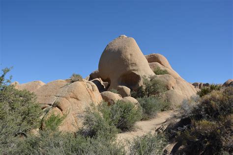 Patrick Tillett Skull Rock Joshua Tree National Park