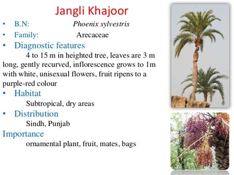Check spelling or type a new query. Native Plants of Pakistan