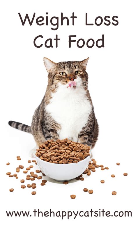 Set a weight loss goal with your veterinarian. Find Out What The Best Cat Food Weight Loss Is Here!