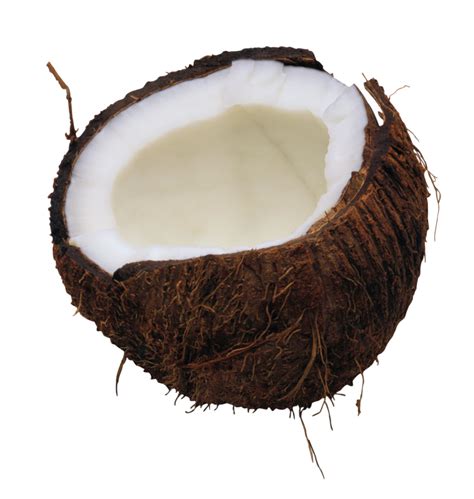 Coconut Png Image Png All Png All