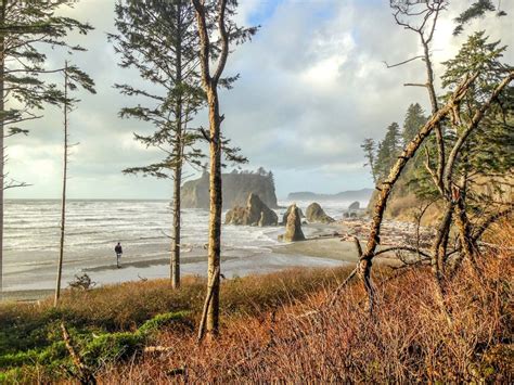 12 Beautiful Images Of A Road Trip Through The Pacific Northwest
