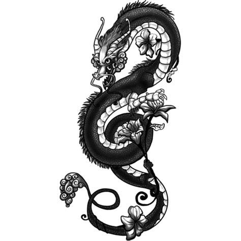 Chinese Dragon Japanese Dragon Fantasy Tattoo Png Clipart Art Black
