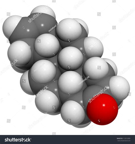 Androstenone Pheromone Molecule Chemical Structure Androstenone Stock