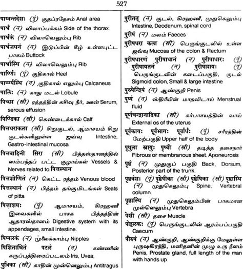 Sanskrit Tamil English Dictionary Exotic India Art