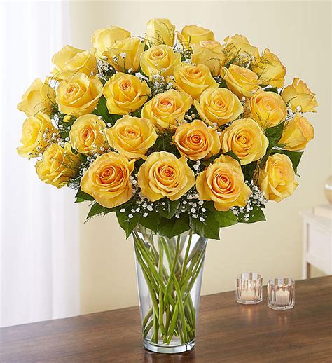 Ultimate Elegance™ 3 Dozen Long Stem Yellow Roses