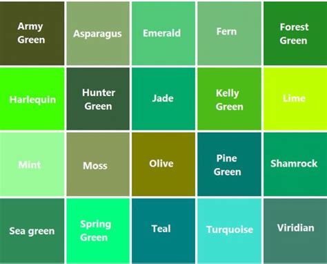 Зеленые цвета палитра и названия 39 фото