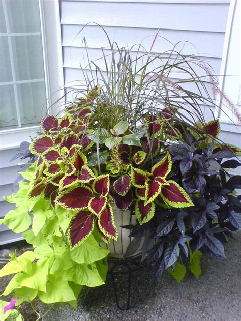 25 Most Beautiful Container Garden Combination Ideas Youll Love