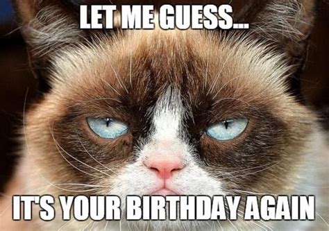 Birthday Memes For Friend Wishesgreeting