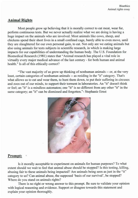 Animal Abuse Background Essay Sanimale