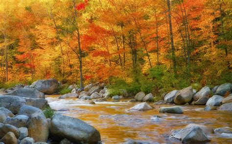 Nature Autumn River Rocks Wallpaper Hd