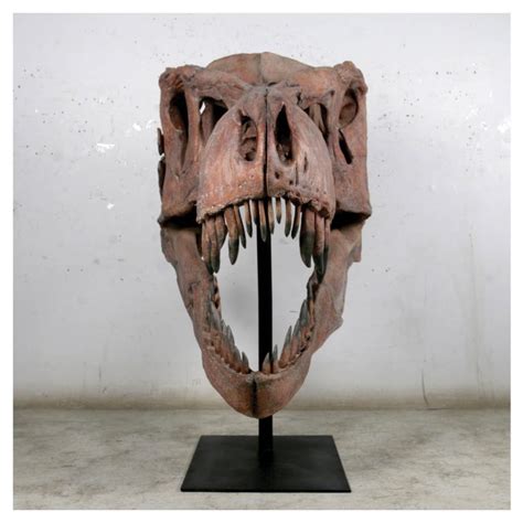 Tyrannosaurus Rex Skull On Base Giant Sculpture Australia