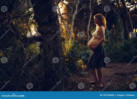 Pregnant Sunbathing In The Forest Stock Image Image Of Natural Healthy