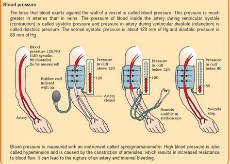 Self Measurement Of Blood Pressure Smbp Dr Rajiv Desai