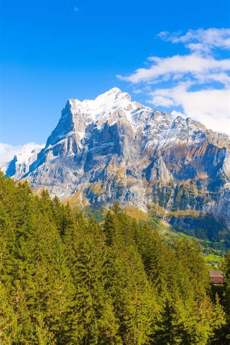 Grindelwald Switzerland Village And Mountains View Stock Image Image