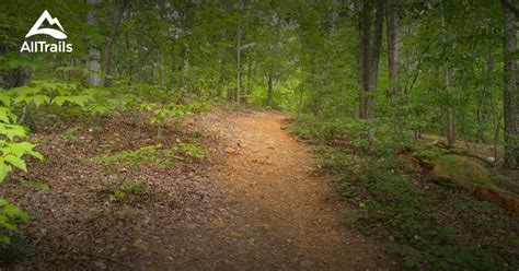 Best Forest Trails In Uwharrie National Forest North Carolina Alltrails