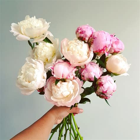 Gigantic Peony Bouquet Lou Flower Studio