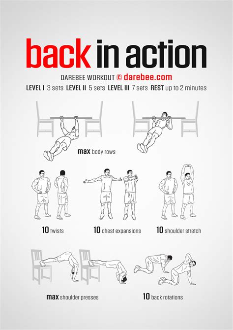 Back In Action Workout