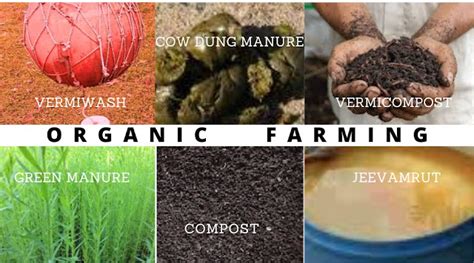 What Is Importance And Advantages Of Organic Farming