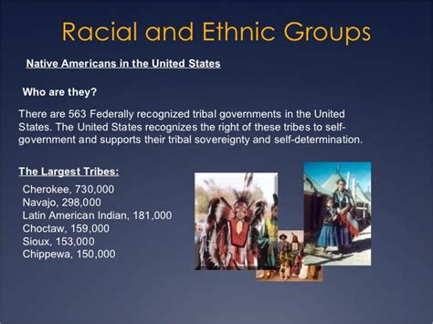 Ethnic And Racial Groups In The Us