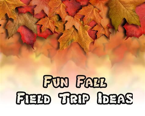 Fun Fall Field Trip Ideas Field Trip School Field Trip Homeschool