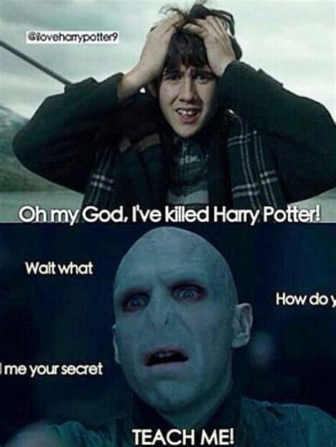Hp Meme Harry Potter Puns Harry Potter Memes Harry Potter Jokes