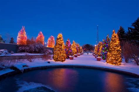 11 Of The Best Colorado Christmas Light Displays