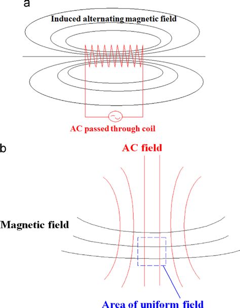 Induced Ac Current And Magnetic Field Using A Signal Excitation Coil In