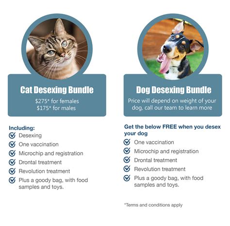 Now Is The Time To Desex Your Pet Town And Country Veterinary Services Auckland New Zealand
