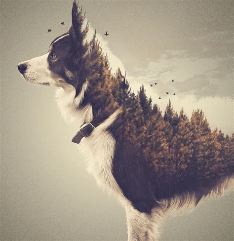 18 Excellent Examples Of Double Exposure Images Photocrowd