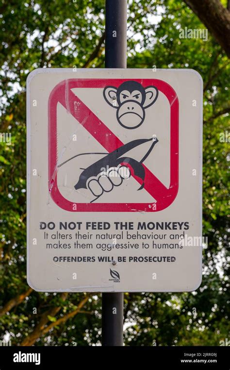 Do Not Feed The Monkeys Sign At Labrador Singapore Stock Photo Alamy