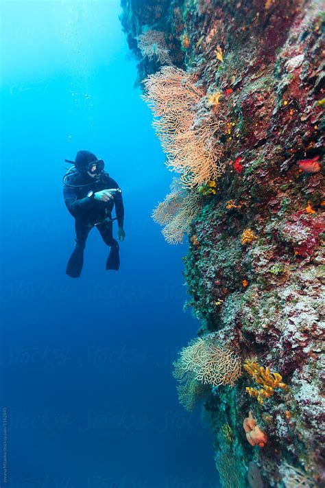 Scuba Diver At The Coral Reef Wall Filled With Gorgonian In Adriatic