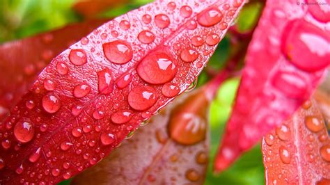 50 Beautiful Rain Wallpapers For Your Desktop Mobile And Tablet Hd