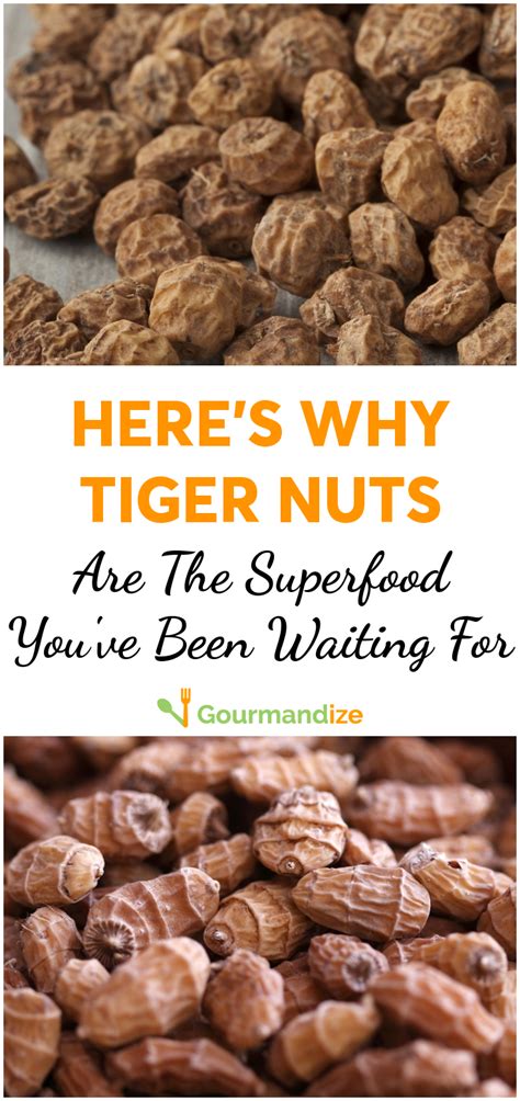 Here S Why Tiger Nuts Are The Superfood You Ve Been Waiting For