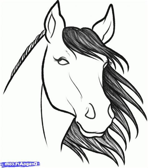 A Drawing Of A Horses Head With Long Manes And Black Hair On It