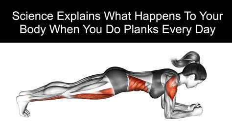 Planks Variations 10exercises Youtube