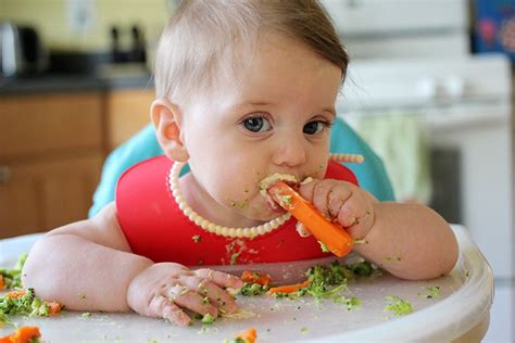 The blw file extension indicates to your device which app can open the file. De la leche al Baby Led Weaning (BLW) - Proyecto SENDO