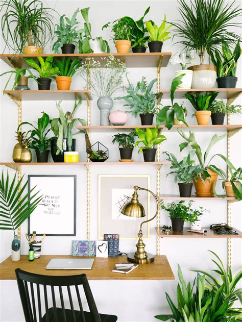 15 Gorgeous Ways To Decorate With Plants — Old Brand New Small Indoor