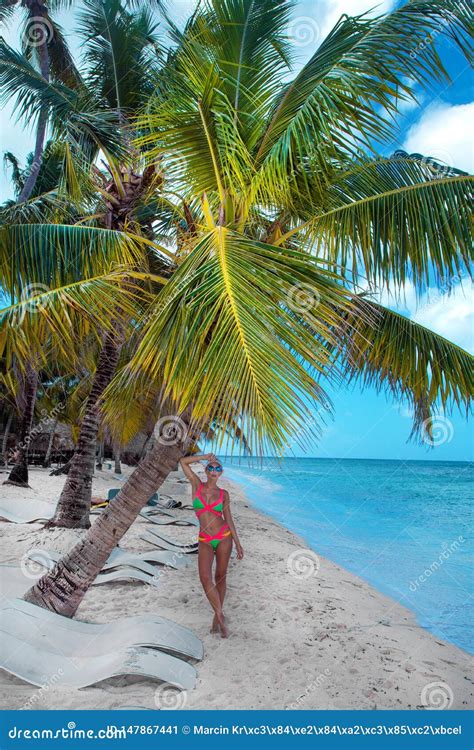 Beautiful Woman In A Bikini On The Beach In The Dominican Republic Stock Image Image Of Palm