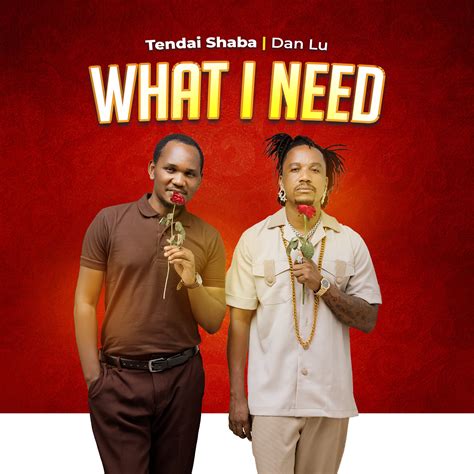 Dan Lu What I Need Afrobeat Malawi