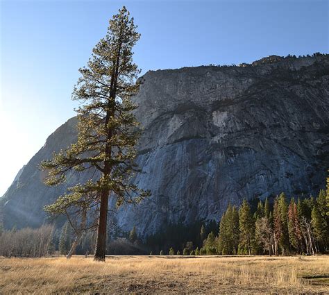 Yosemite Nature National Park Free Photo On Pixabay Pixabay