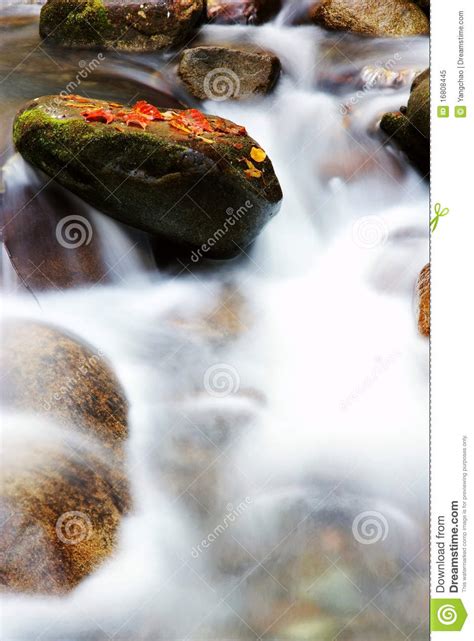 Red Autumnal Leaves And Stream Stock Image Image Of Stone Mountain