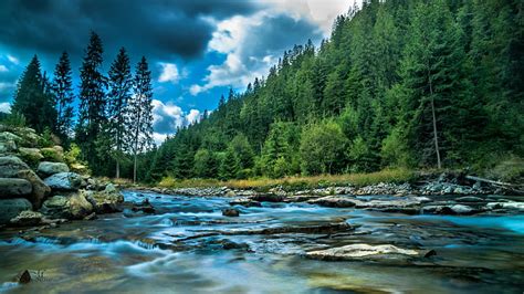 Hd Wallpaper Body Of Water And Forest Stream Creek River Outdoors