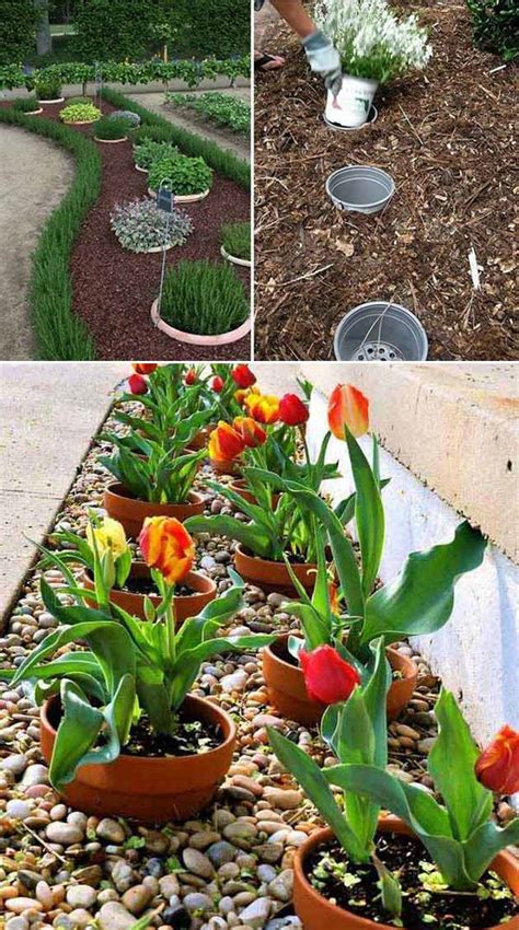 23 Insanely Clever Gardening Ideas On Low Budget Homedesigninspired
