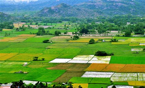 A Sure Shot Checklist For Buying Agricultural Land In India Northlines
