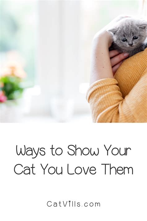 9 Ways To Show Your Cat You Love Them Cats Cat Behavior Cat Health