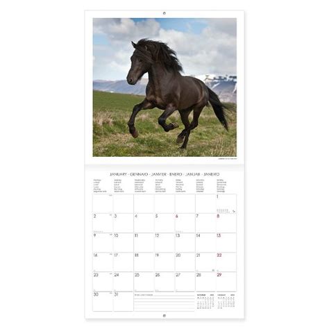 Legami · Horses Wall Calendar 2023 Calendar 2022